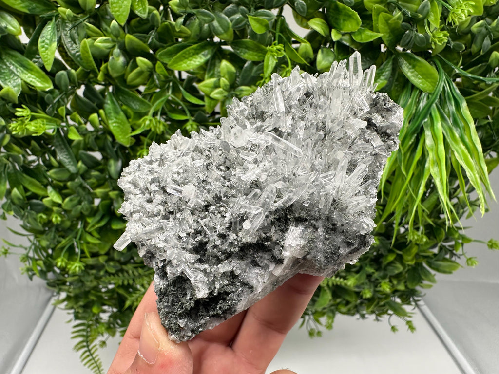 Wonderful Transparent Quartz on Chlorite Matrix,From Borieva mine,Madan,Bulgaria,Quartz,Quartz crystal,mineral specimen,collection quartz