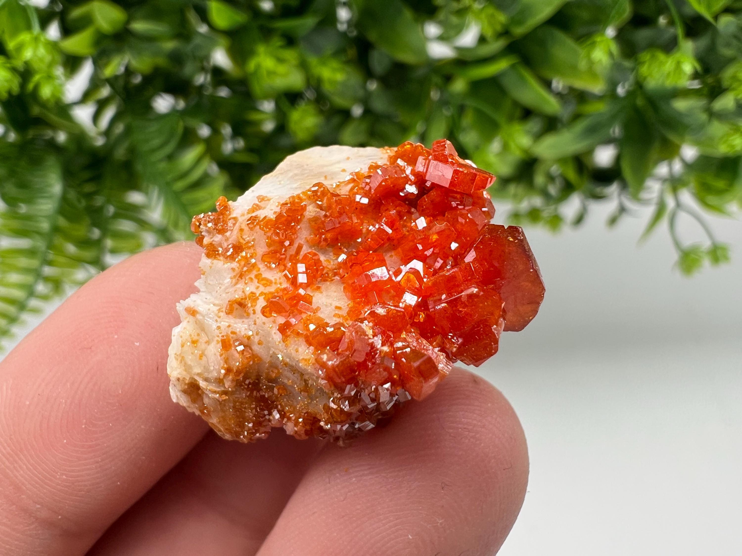 Red Vanadinite on Barite from Marocco,crystal minerals Speciment cluster Vanadinite crystal Vanadinite Geology Vanadinite cluster minerals