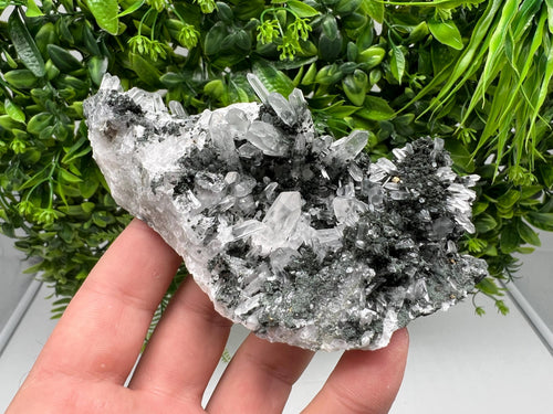 Chlorite Quartz Crystal Cluster - Borieva Mine, Bulgaria