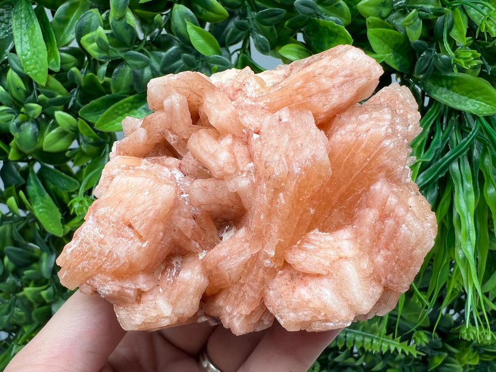 Apophyllite Stilbite Chalcedony Specimen: India Minerals Crystal Collection
