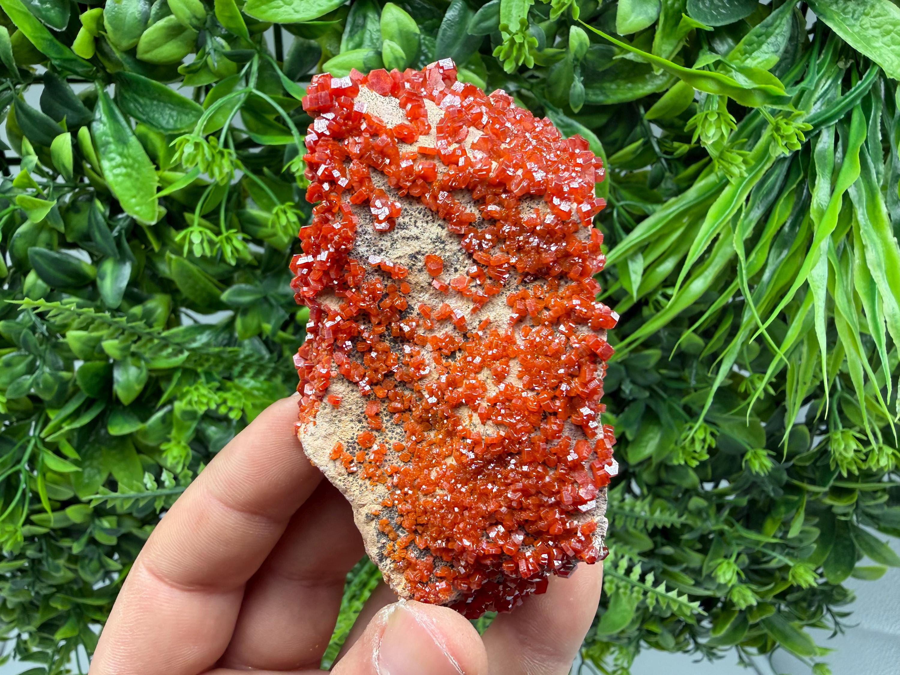 Red Vanadinite on Matrix from Marocco,crystal minerals Speciment cluster Vanadinite crystal Vanadinite Geology Vanadinite cluster minerals