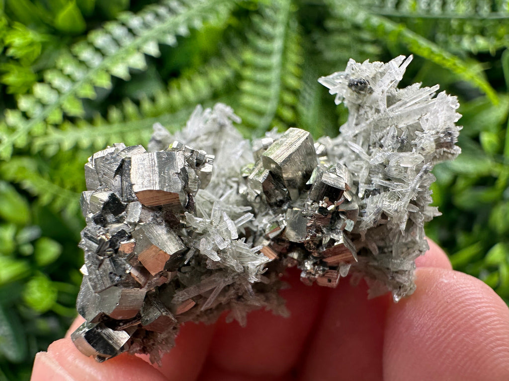 Pyrite on Green Quartz, Borieva Mine Mineral Specimen