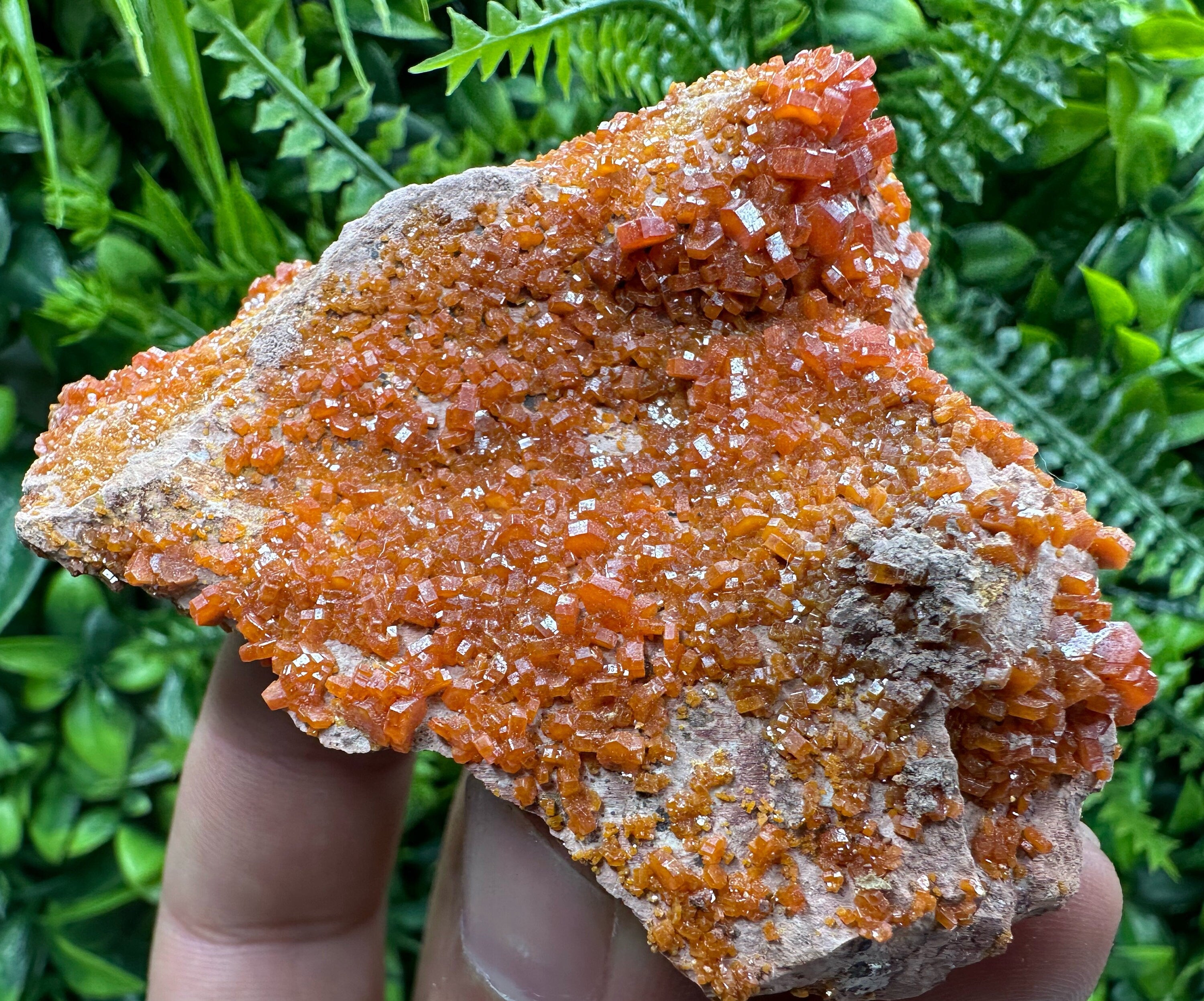 Red Vanadinite Crystal Cluster on Matrix, Morocco Mineral Specimen