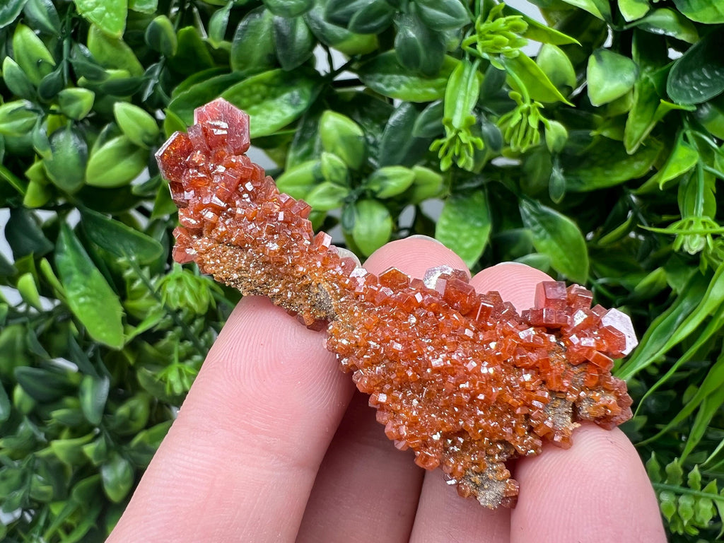 Red Vanadinite on Barite from Marocco,crystal minerals Speciment cluster Vanadinite crystal Vanadinite Geology Vanadinite cluster minerals