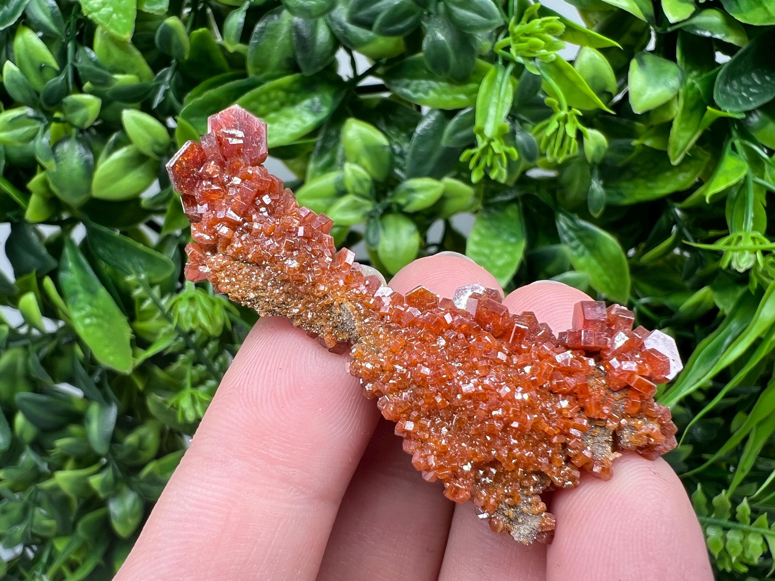 Red Vanadinite on Barite from Marocco,crystal minerals Speciment cluster Vanadinite crystal Vanadinite Geology Vanadinite cluster minerals