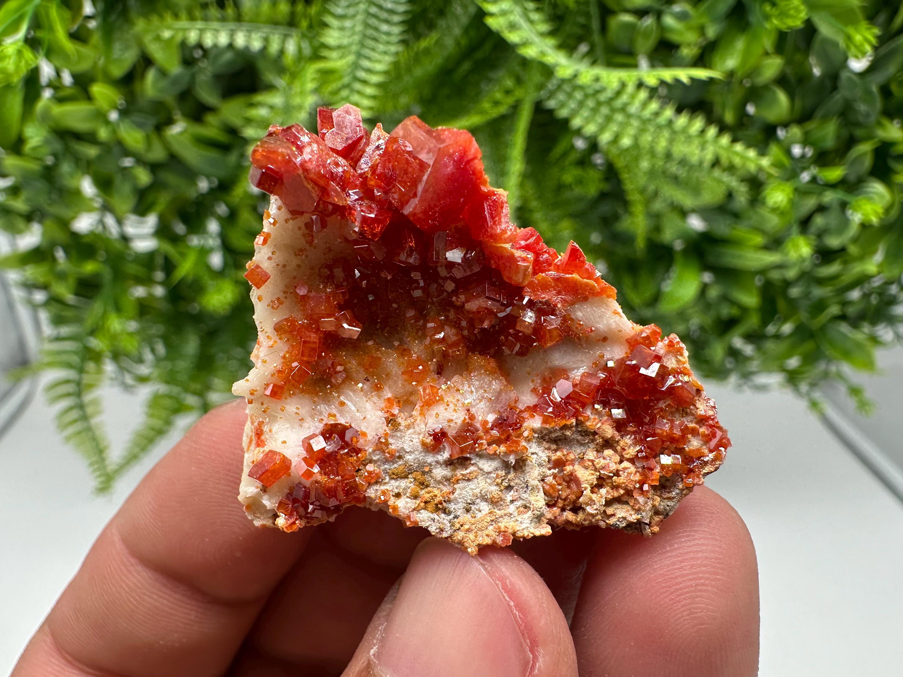 Red Vanadinite on Barite, Morocco Crystal Cluster