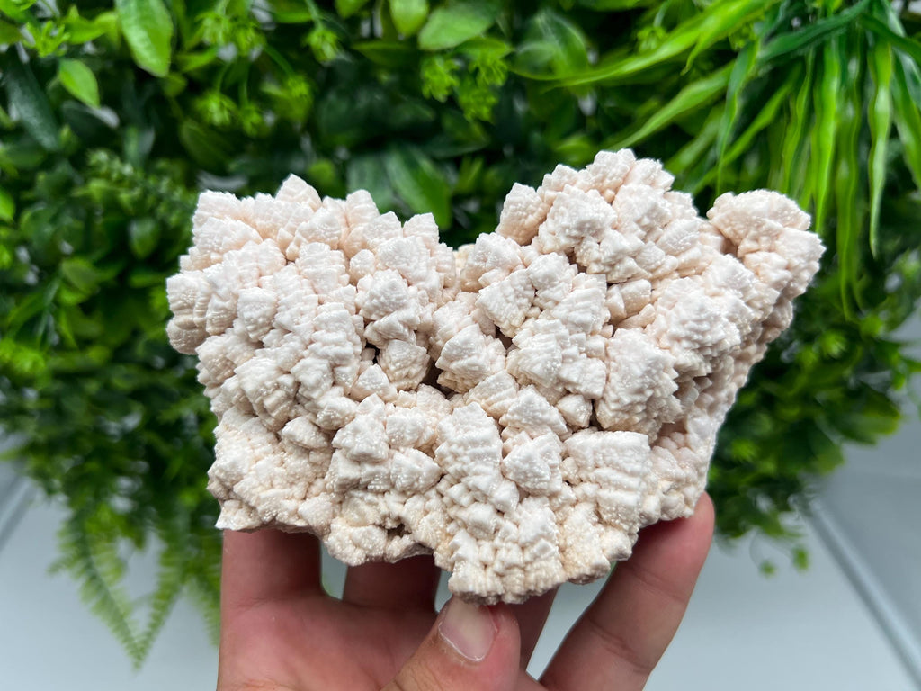 Pink Manganocalcite Mineral Specimen, Krushev dol Mine, Bulgaria