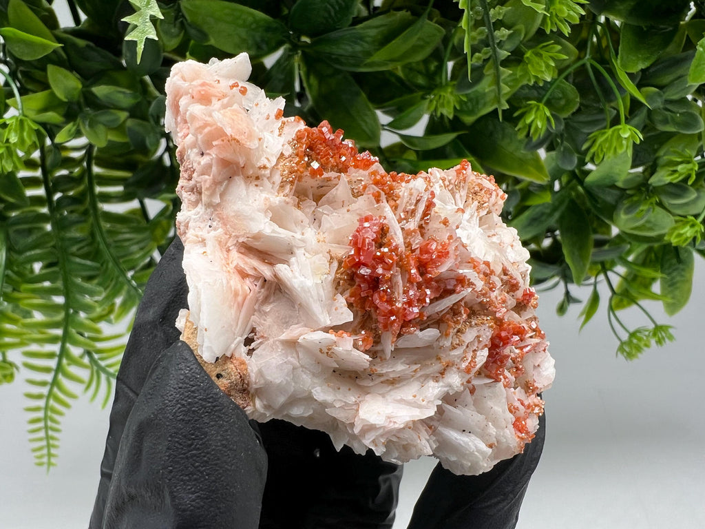 Red Vanadinite on Barite from Marocco,crystal minerals Speciment cluster Vanadinite crystal Vanadinite Geology Vanadinite cluster minerals