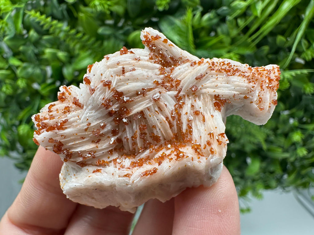 Red Vanadinite on Barite, Moroccan Crystal Specimen