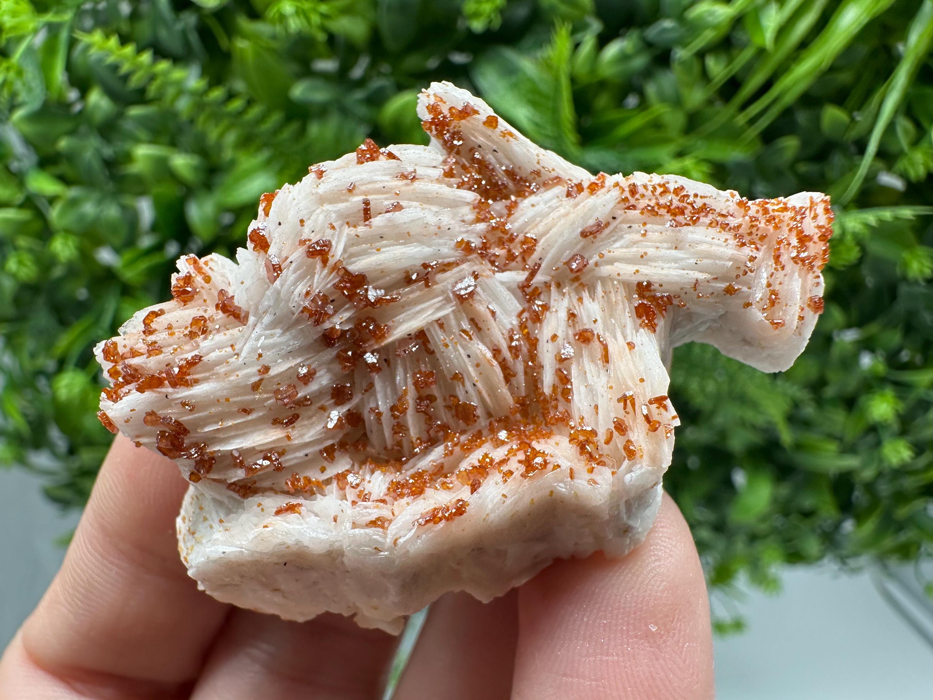 Red Vanadinite on Barite, Moroccan Crystal Specimen