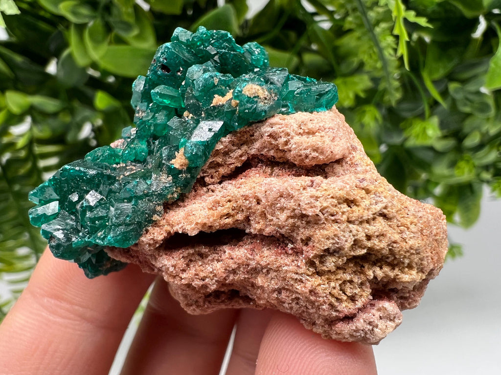 Stunning Green Dioptase from Sanda Hills,Mindouli,Pool Department,Mindouli District,Congo,green Dioptase,Dioptas Crystal,Dioptase collecting