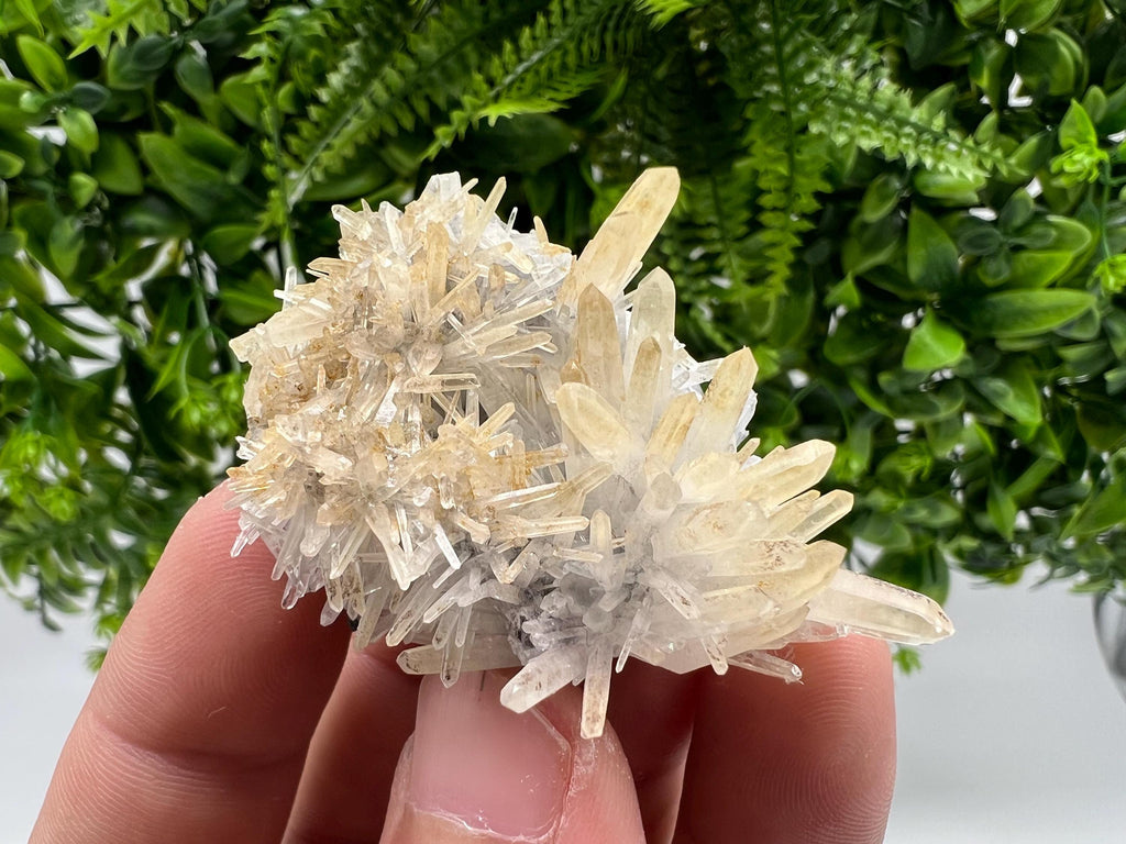Stunning Quartz from 9 th September mine,Bulgaria,Quartz iron oxide limonite quartz,yellow Quartz,natural collection mineral specimen,home