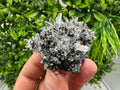 Lovely Galena on Quartz whit Calcite,Pyrite from Borieva mine,Madan,Bulgaria,Natural,Collection minral specimen,crystal,Metaphysical,Geology