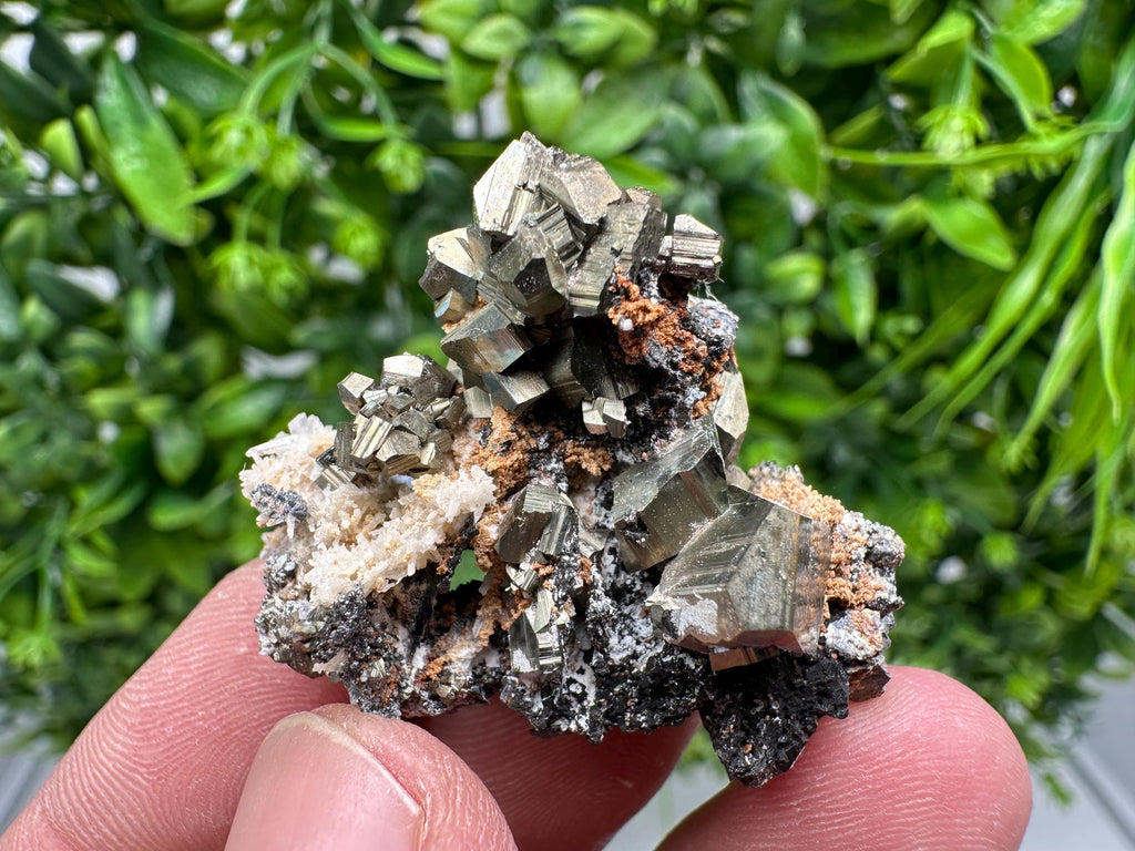 Golden Pyrite,Sphalerite from 9th September mine,Madan,Bulgaria,natural,collectible mineral specimen,home decor crystal,Pyrite cluster,