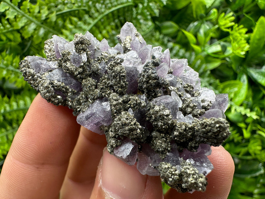 Amethyst with Pyrite: Natural Crystal Mineral Souvenir