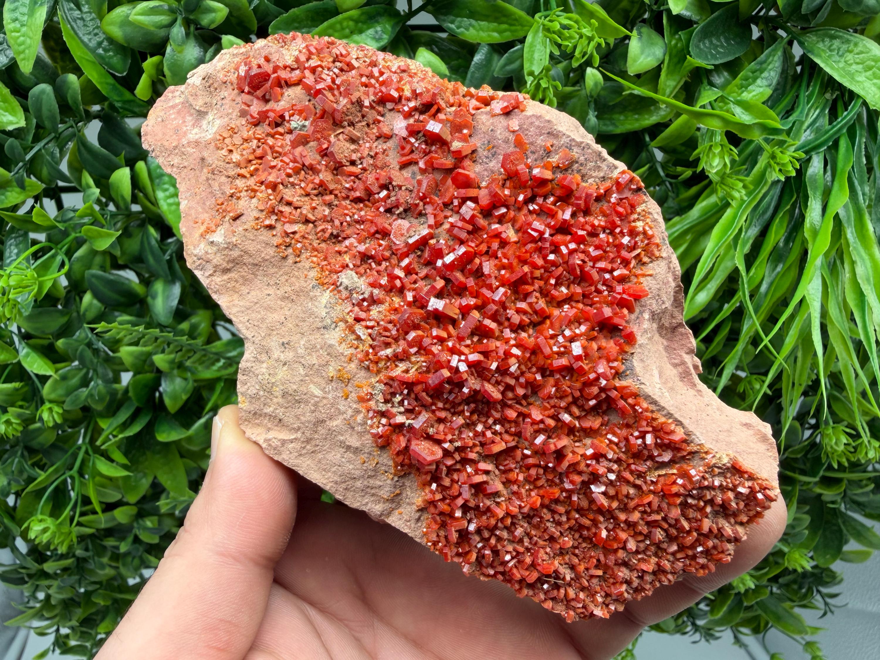 Red Vanadinite on Matrix from Marocco,crystal minerals Speciment cluster Vanadinite crystal Vanadinite Geology Vanadinite cluster minerals
