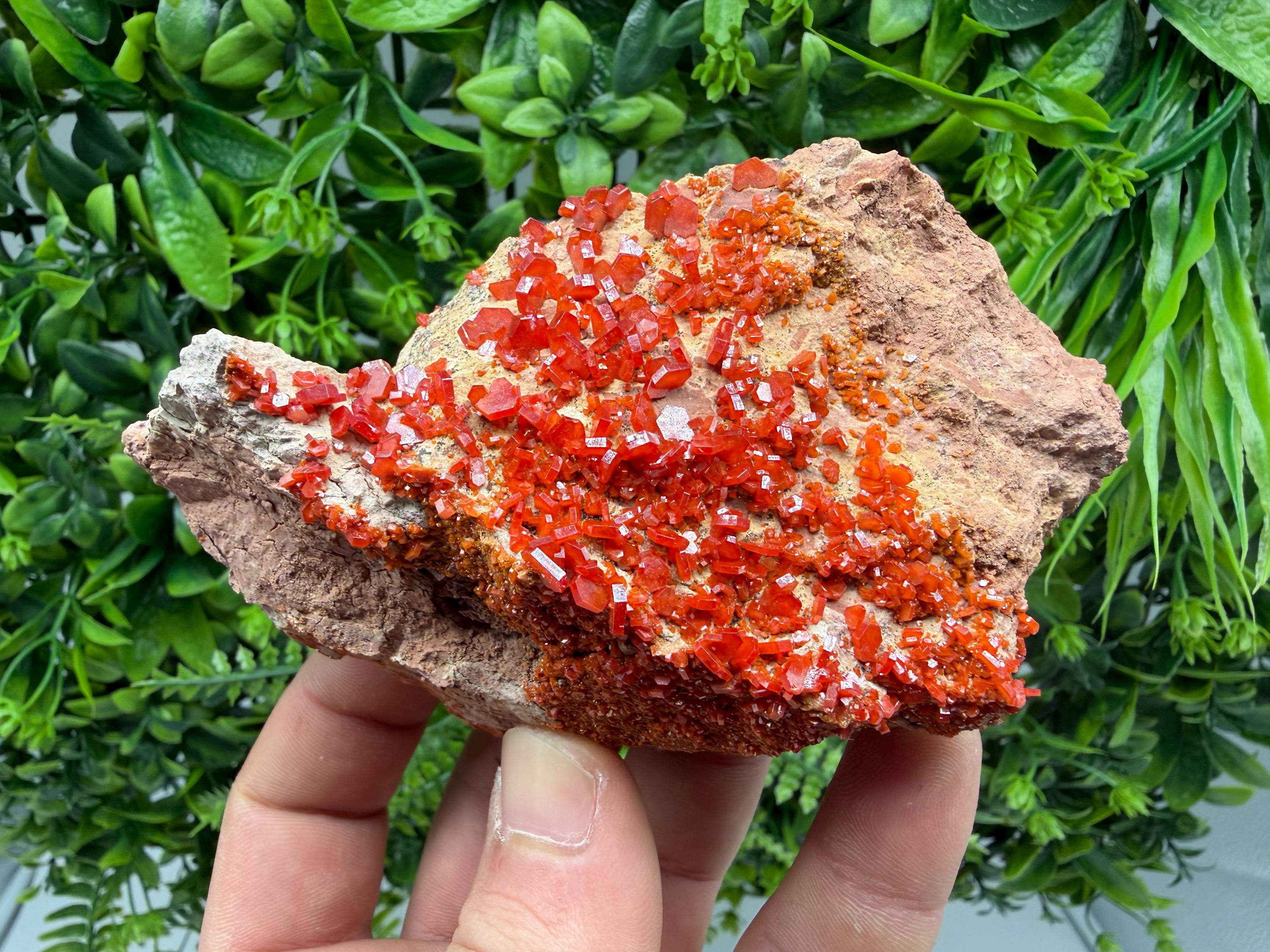 Red Vanadinite on Matrix from Marocco,crystal minerals Speciment cluster Vanadinite crystal Vanadinite Geology Vanadinite cluster minerals