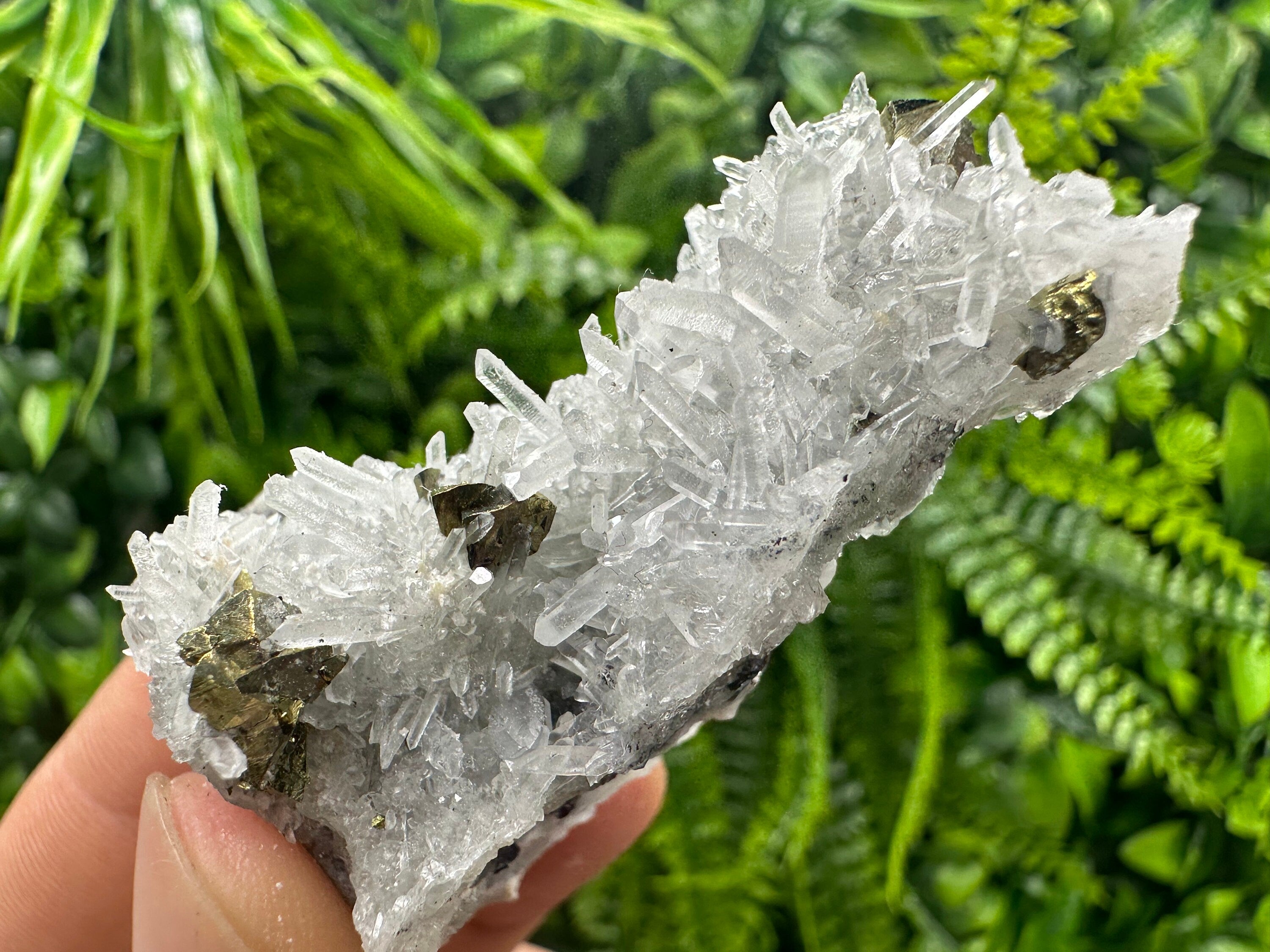 Chalcopyrite on Quartz: Borieva Mine, Bulgaria