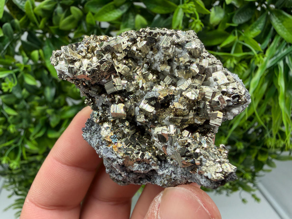 Pyrite Sphalerite Quartz  Mineral Specimen, Krushev dol Mine