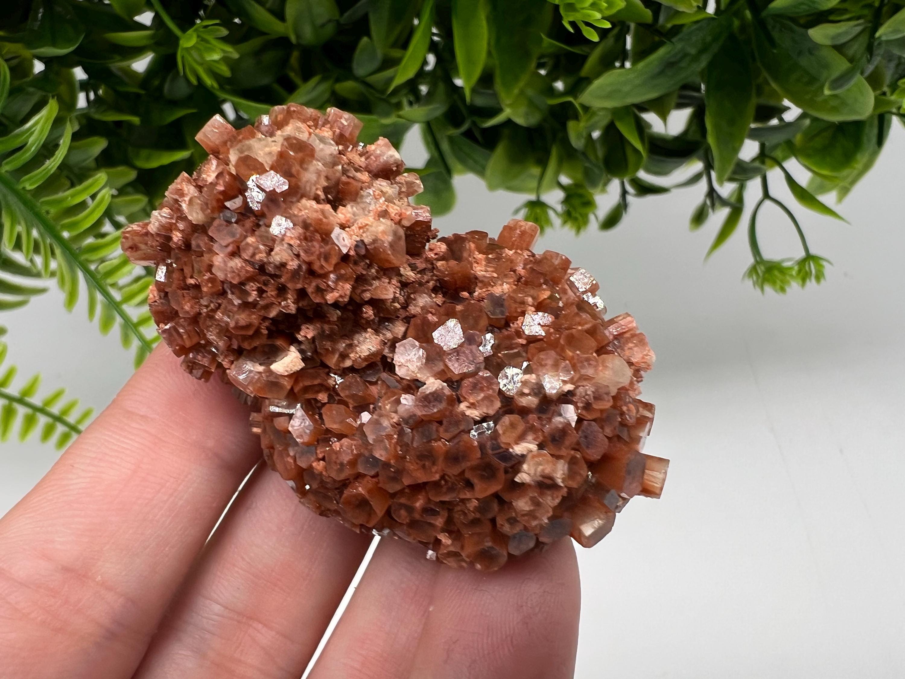Large Aragonite Sputnik Cluster: Raw Moroccan Crystal Stone