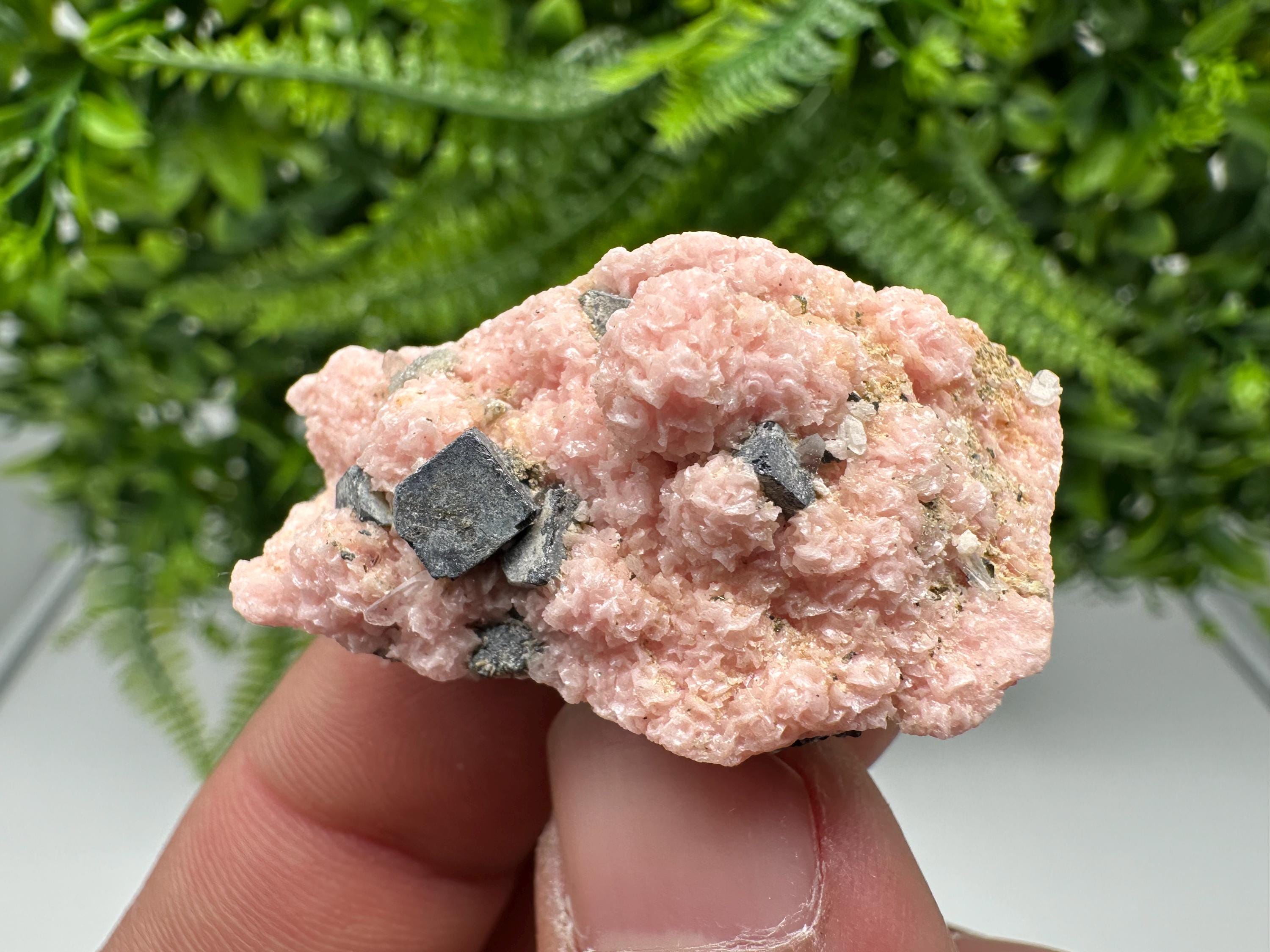 Rhodochrosite on Quartz: Pink Crystal Home Decor, Bulgaria Mineral Souvenir