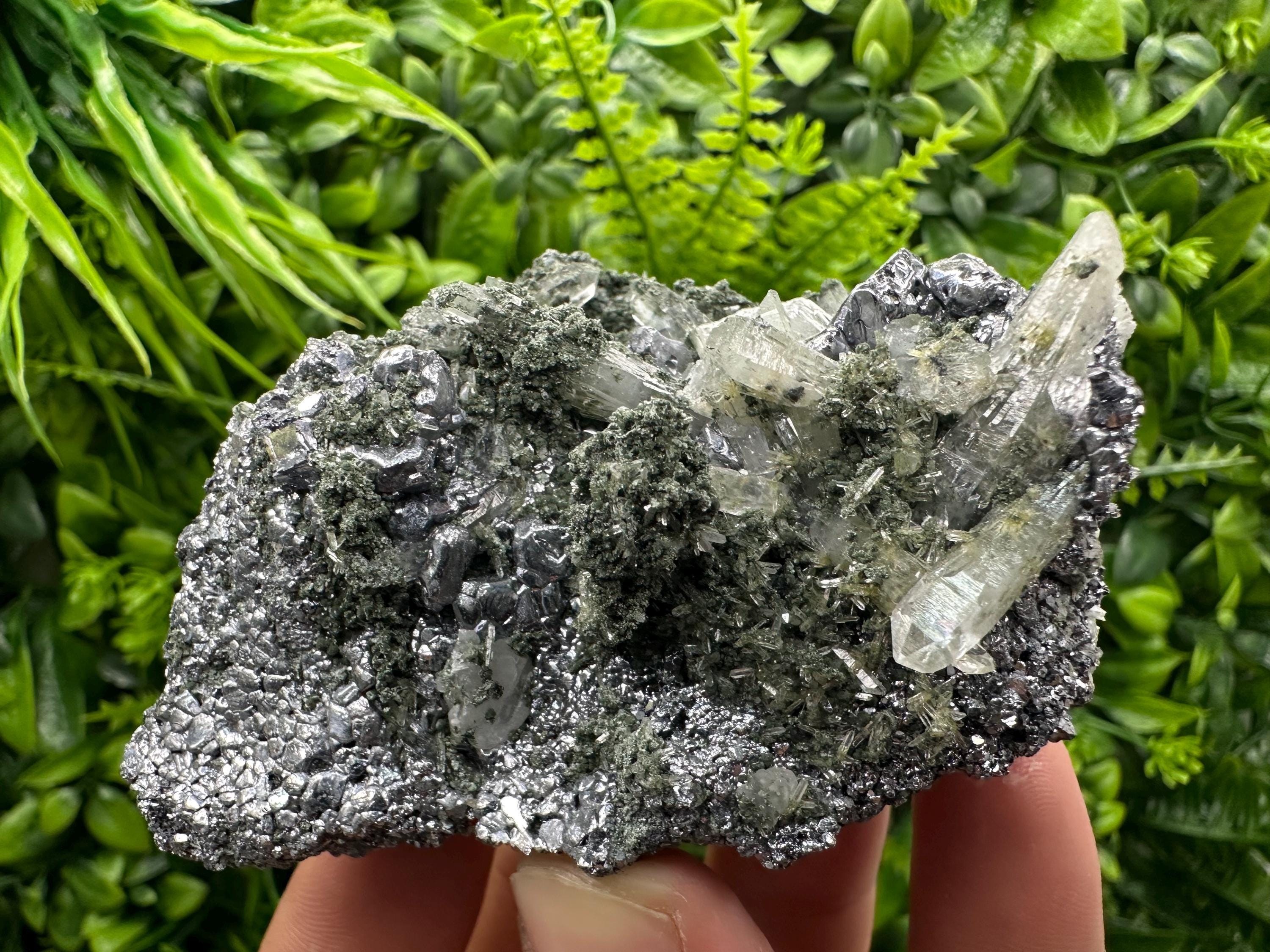 Galena with Quartz and Chlorite, Bulgaria Mineral Specimen