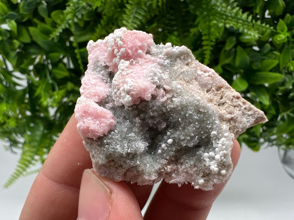 RARE Rhodochrosite with Calcite: Starnica Mine, Bulgaria