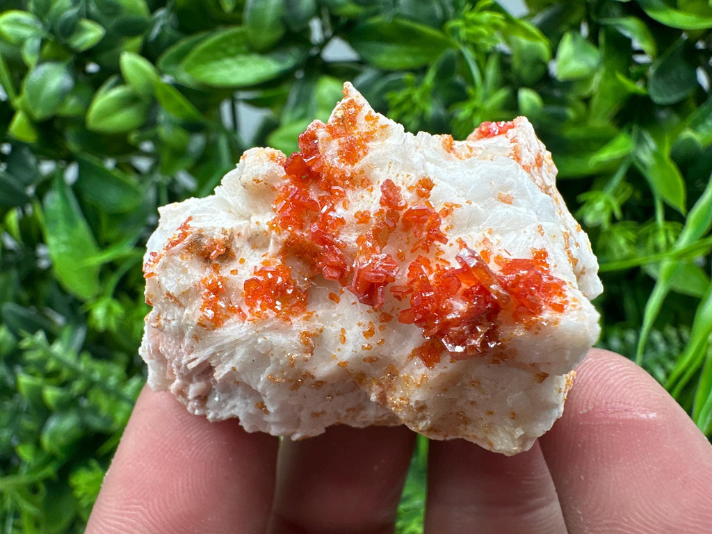 Red Vanadinite Crystal on Barite, Morocco Mineral Specimen