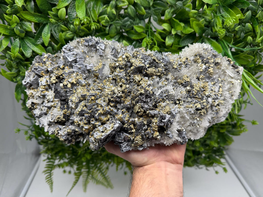 Museum Rare Shiny Galena Cluster whit Chalcopyrite,Pyrite, 9th of September Mine