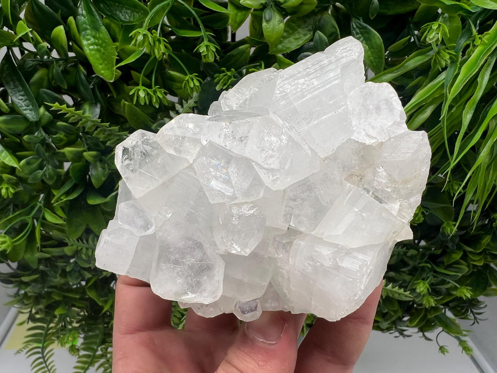 Apophyllite on Chalcedony Specimen: Transparent Crystal, India Minerals