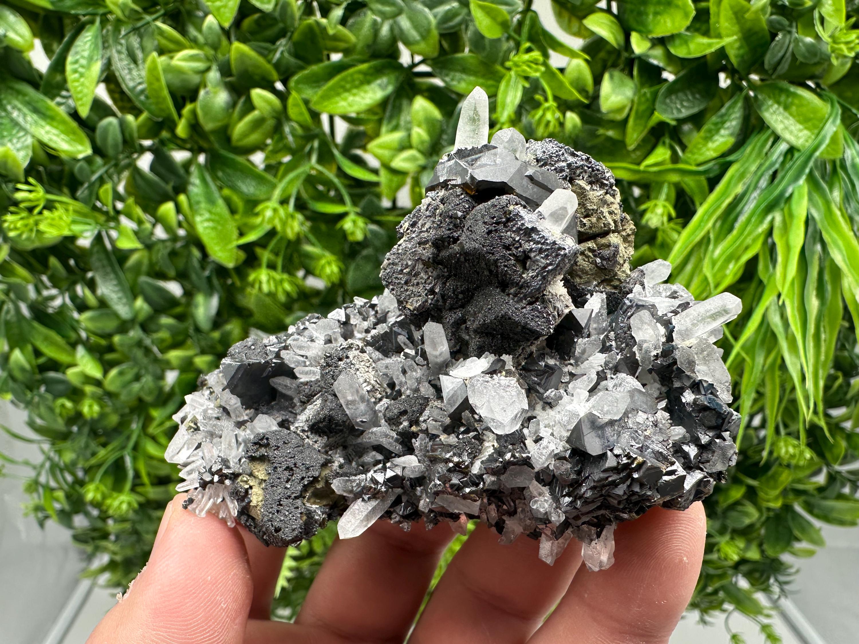 Wonderful Sphalerite Chalcopyrite on  Quartz whit Galena feom 9 th September mine,Bulgaria,natural,collection mineral specimen,gift