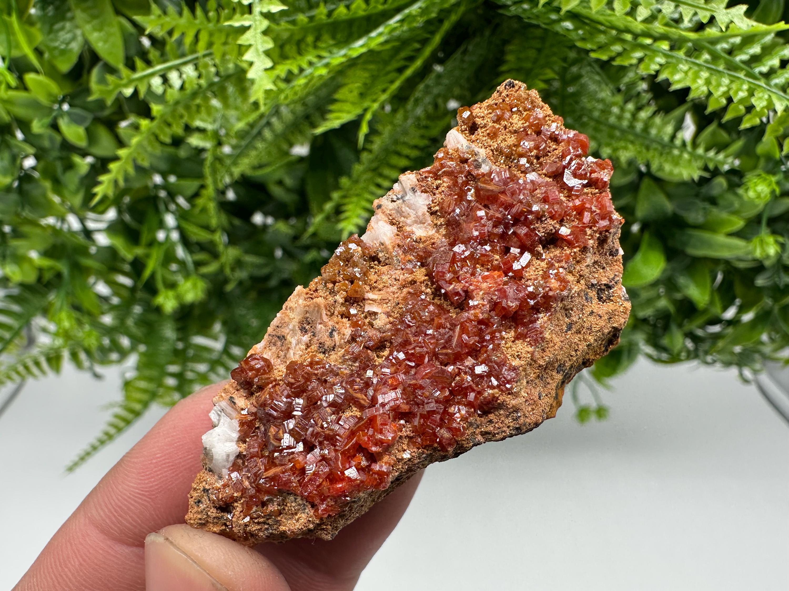 Red Vanadinite Crystal Cluster on Barite Matrix, Morocco Mineral Specimen