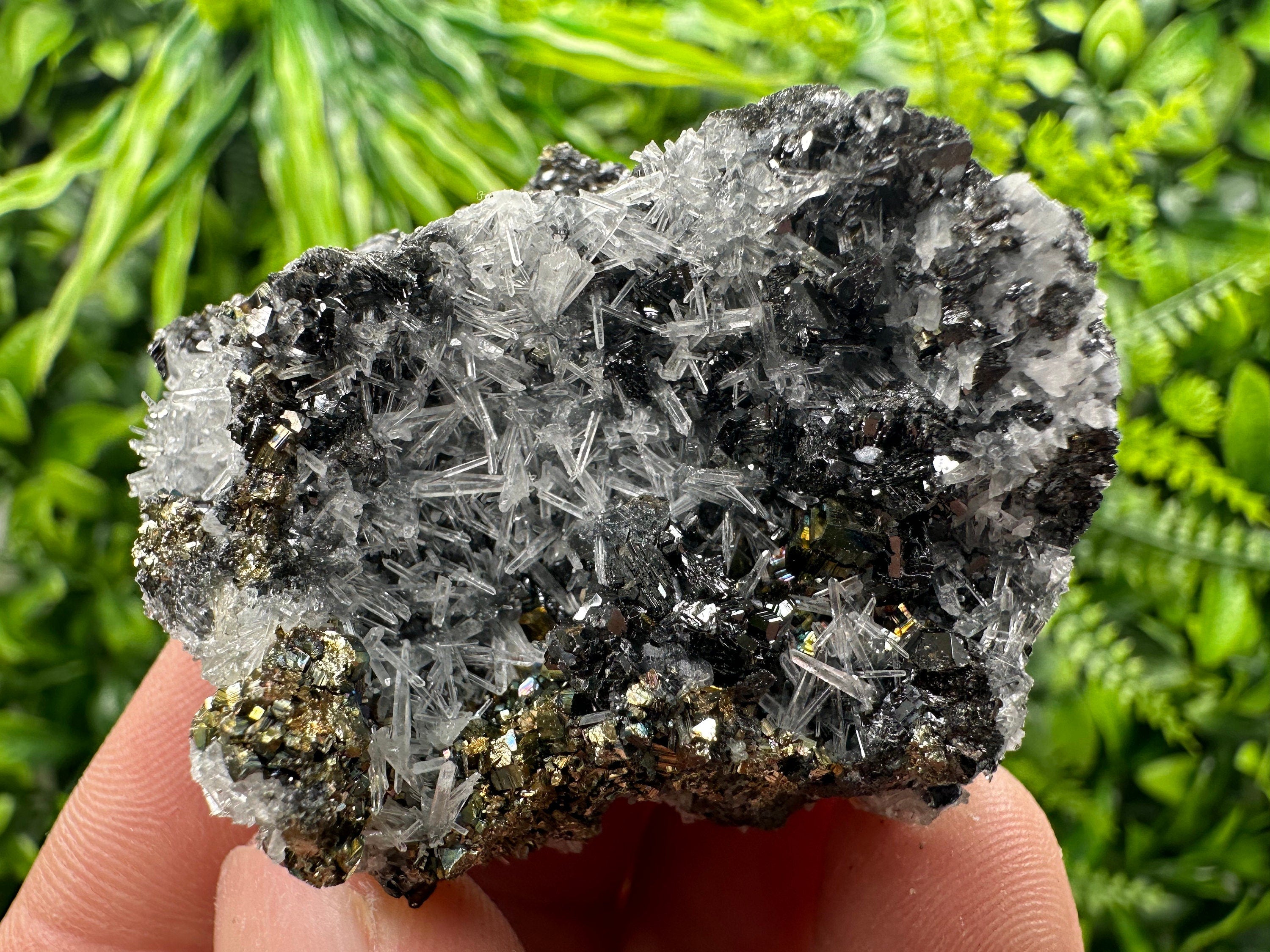 Rainbow Pyrite, Sphalerite on Quartz: Natural Crystal Souvenir