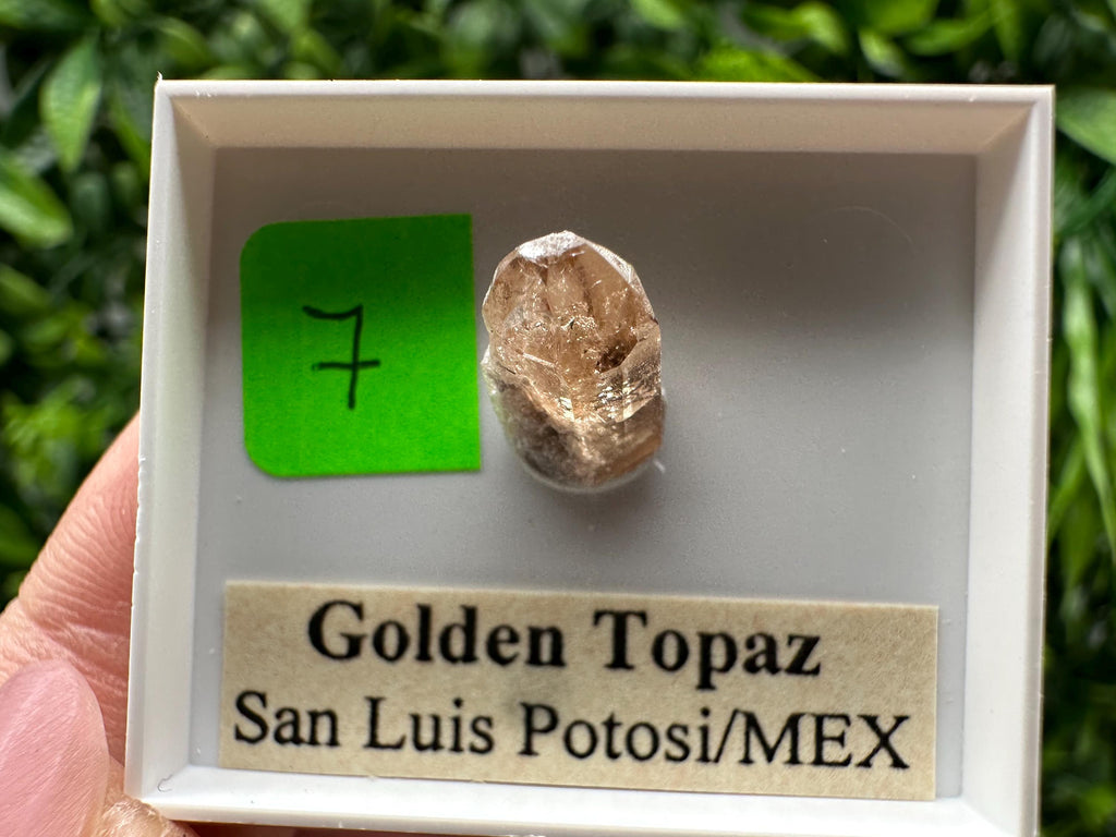 Golden Topaz Crystal, Mineral Specimen from Mexico