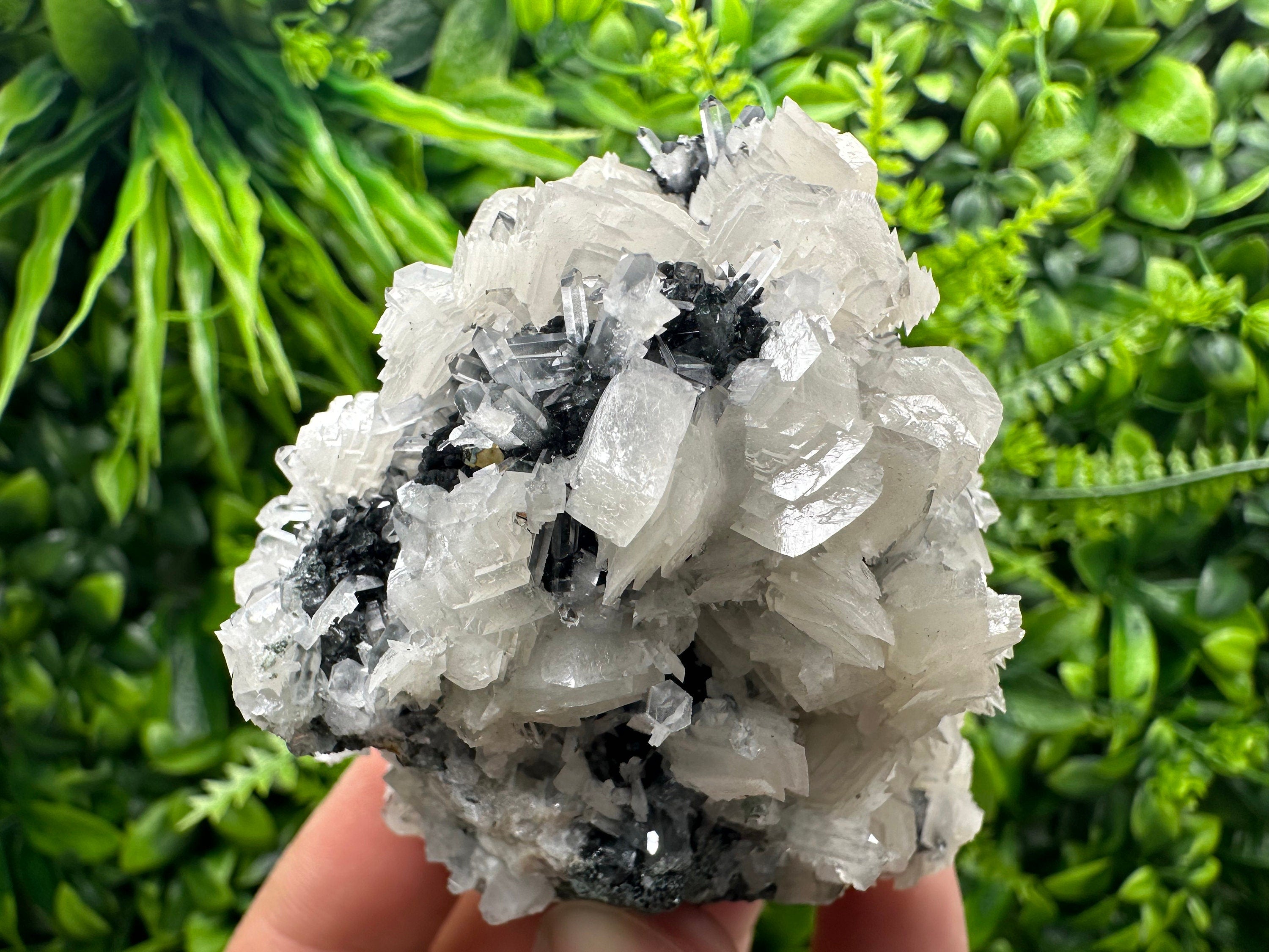 UV Fluorescence Calcite on Sphalerite, Quartz, Borieva Mine Crystal