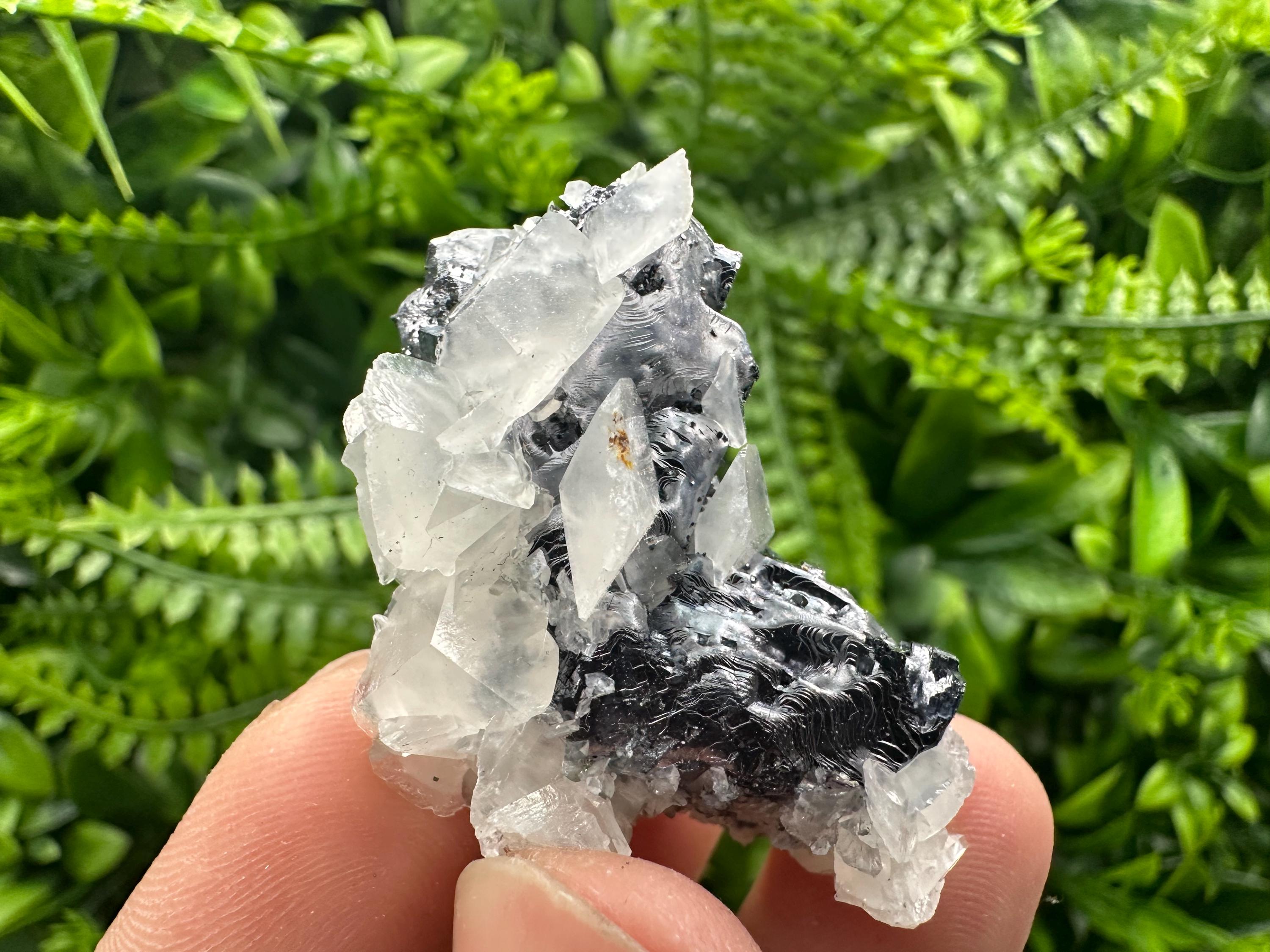 Quartz Galena Calcite Specimen: Borieva Mine, Bulgaria