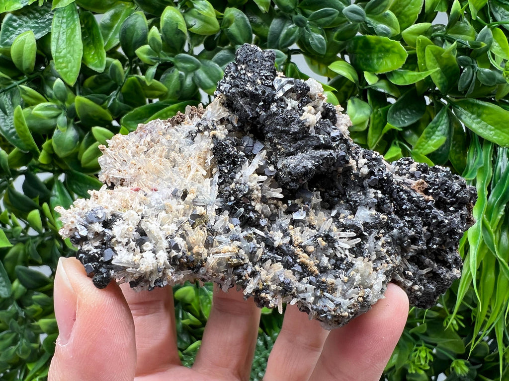 Aesthetic Natural shiny Galena whit Siderite and Quartz from 9 th September mine,Bulgaria,collection specimen,rare galena,Galena cluster