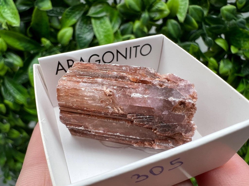 Amazing Aragonite from Spain,Aragonite crystal,cluster,natural,mineral,specimen,Purple Aragonite,Spanish Aragonite,Mineralcollection