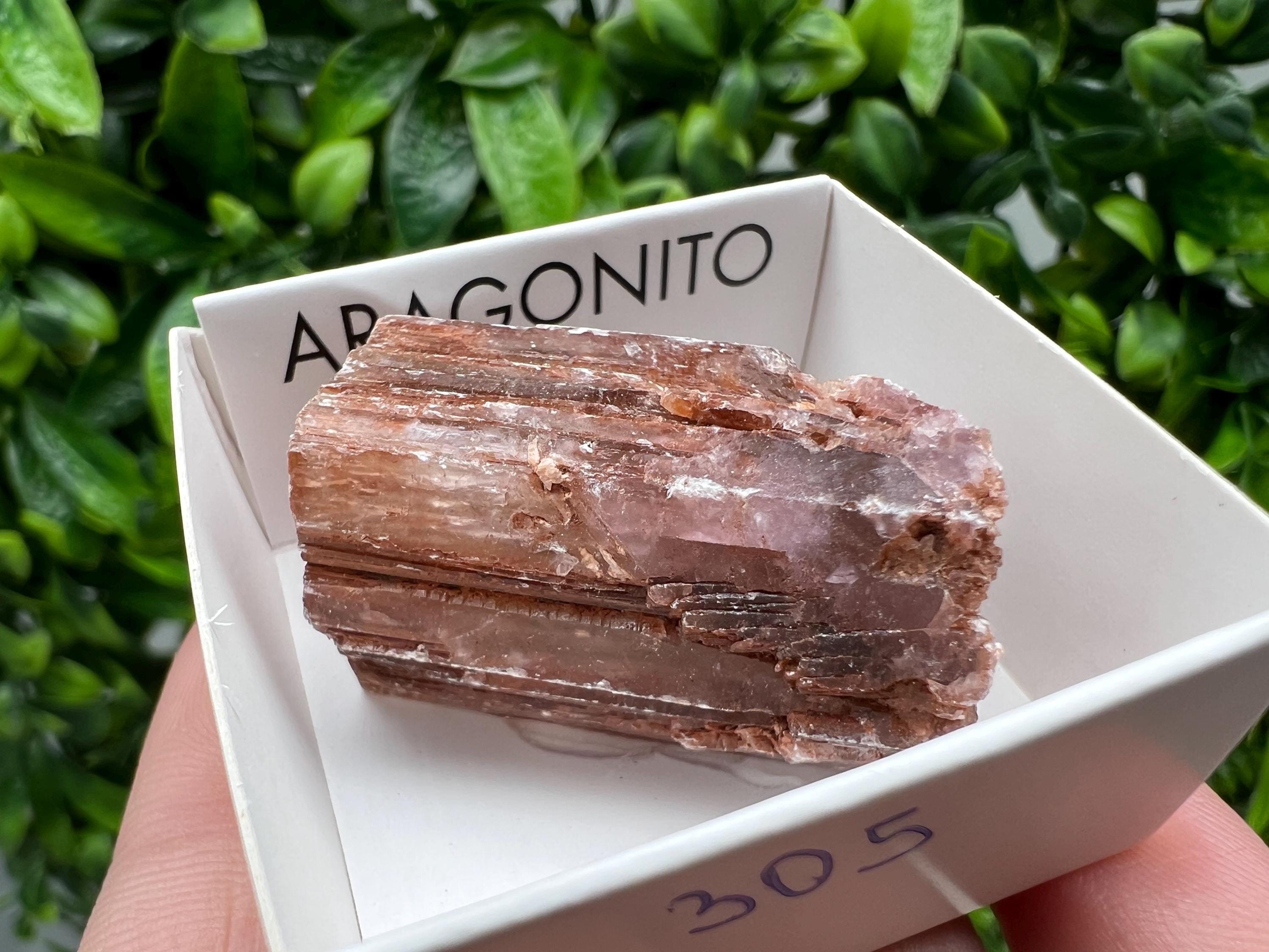 Amazing Aragonite from Spain,Aragonite crystal,cluster,natural,mineral,specimen,Purple Aragonite,Spanish Aragonite,Mineralcollection