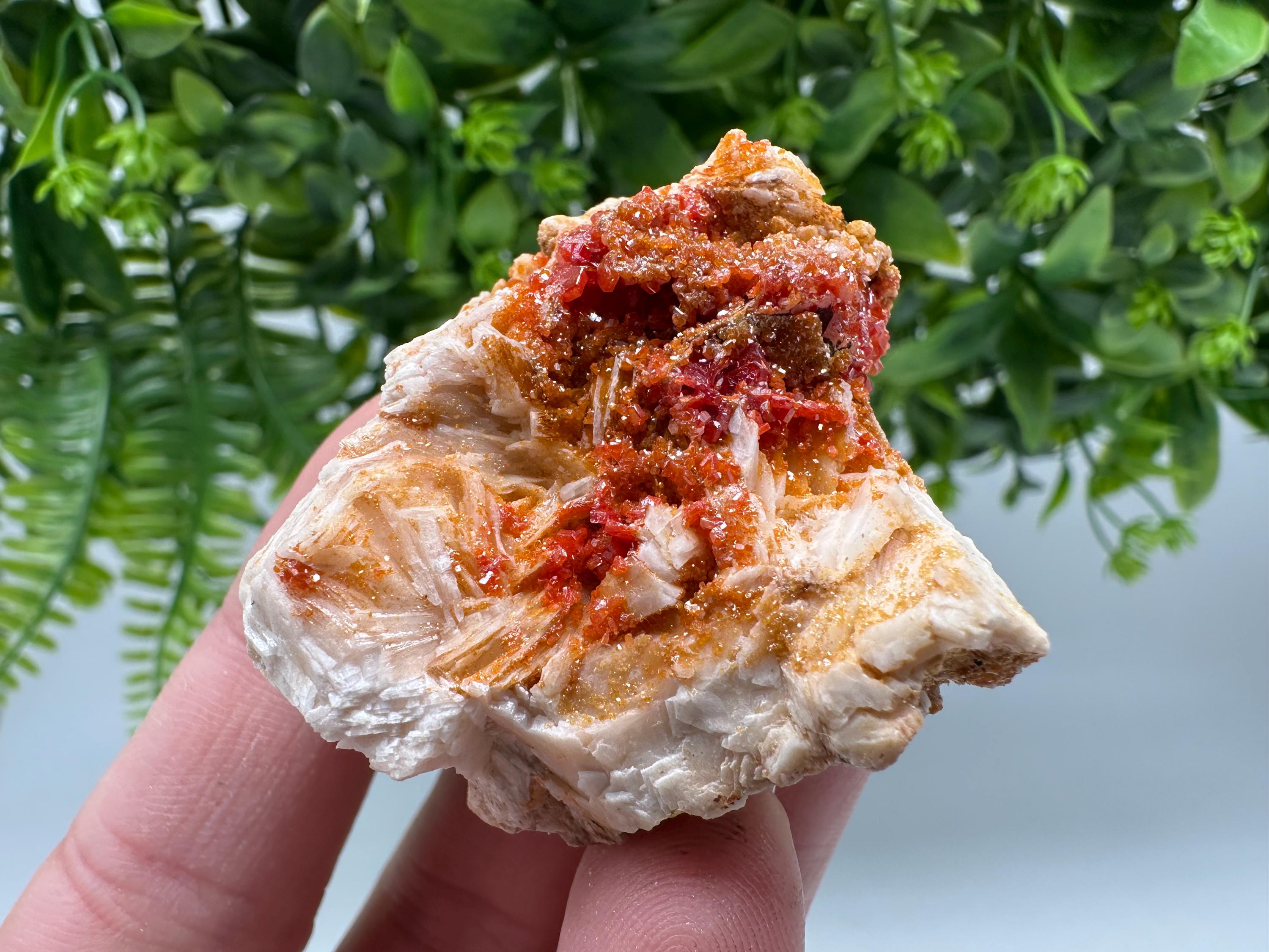 Red Vanadinite on Barite from Marocco,crystal minerals Speciment cluster Vanadinite crystal Vanadinite Geology Vanadinite cluster minerals