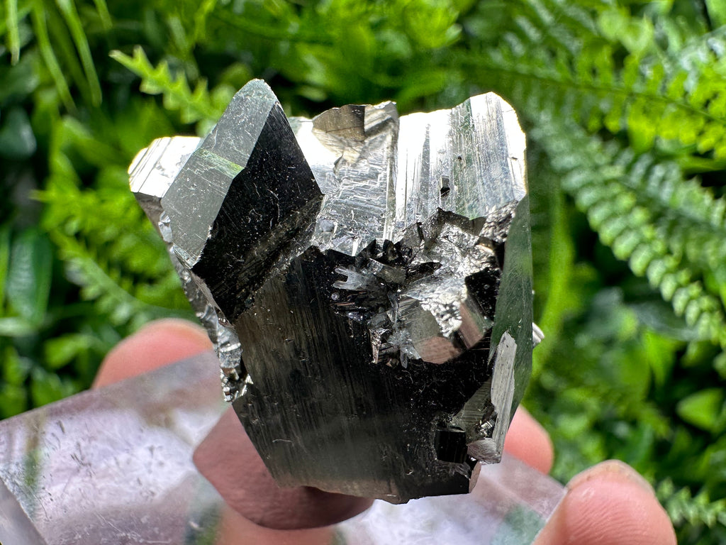 Golden Pyrite Cluster: Rare Floating Crystallization, Bulgaria