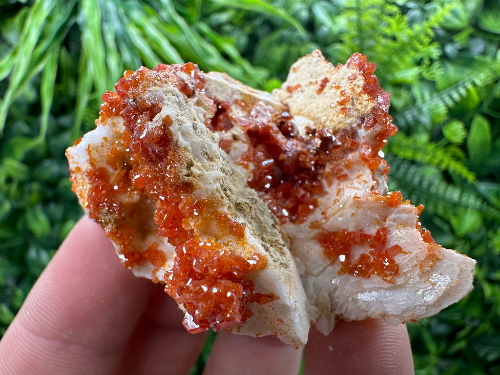 Red Vanadinite Crystal Cluster on Matrix, Morocco Mineral Specimen