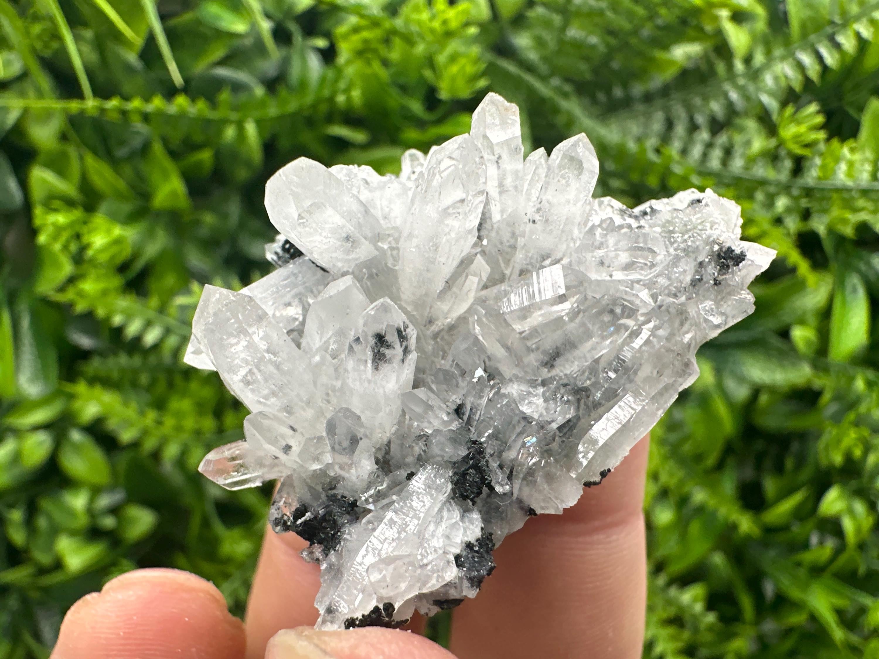 Transparent Quartz Cluster, Borieva Mine, Rare Crystal Specimen
