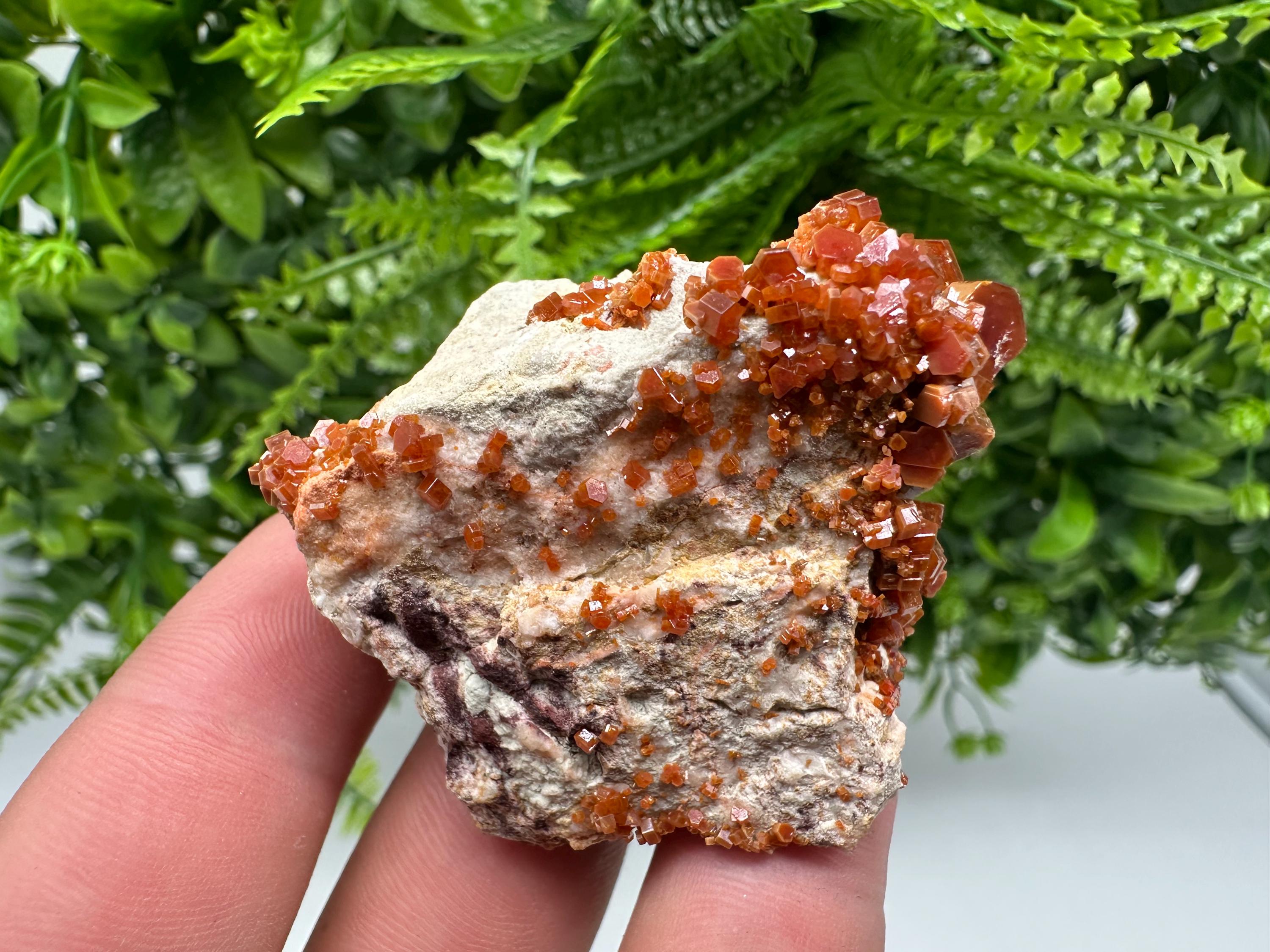 Red Vanadinite on Barite, Moroccan Crystal Specimen