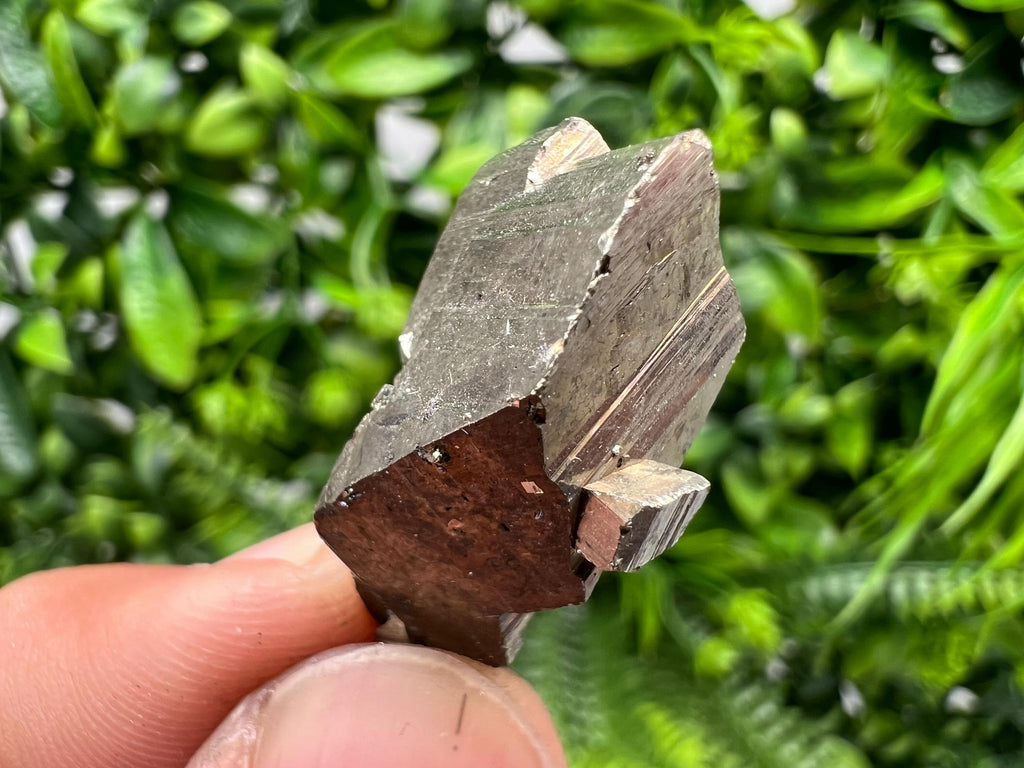 Rare Pyrite Crystal Specimen: Borieva Mine, Bulgaria