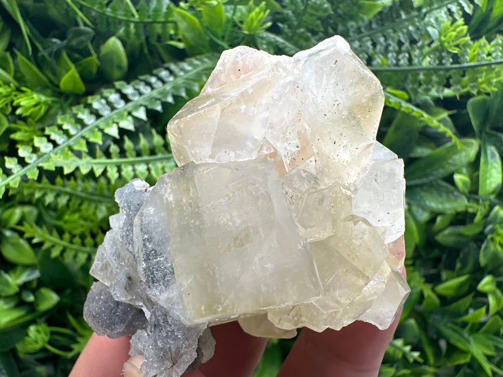 Apophyllite Stilbite on Chalcedony, India Mineral Specimen