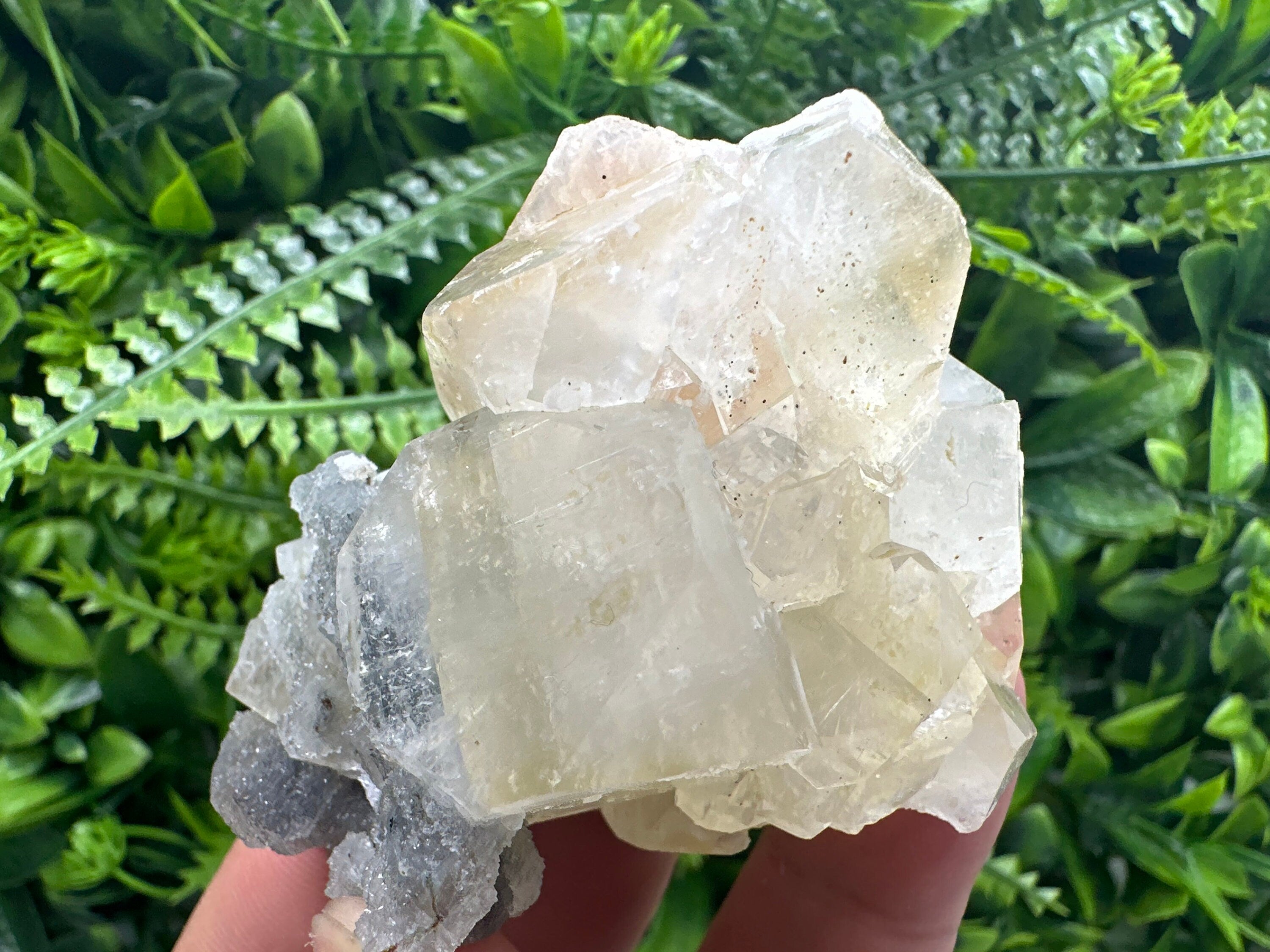 Apophyllite Stilbite on Chalcedony, India Mineral Specimen