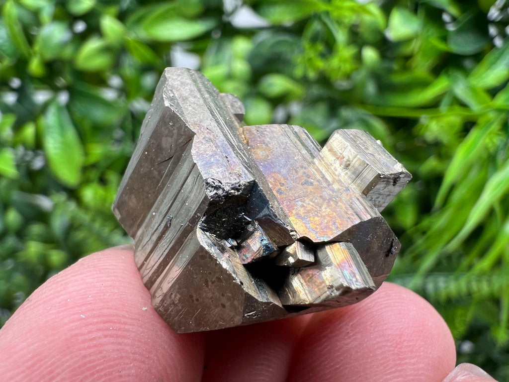 Mini Rainbow Pyrite Cluster: Borieva Mine, Bulgaria
