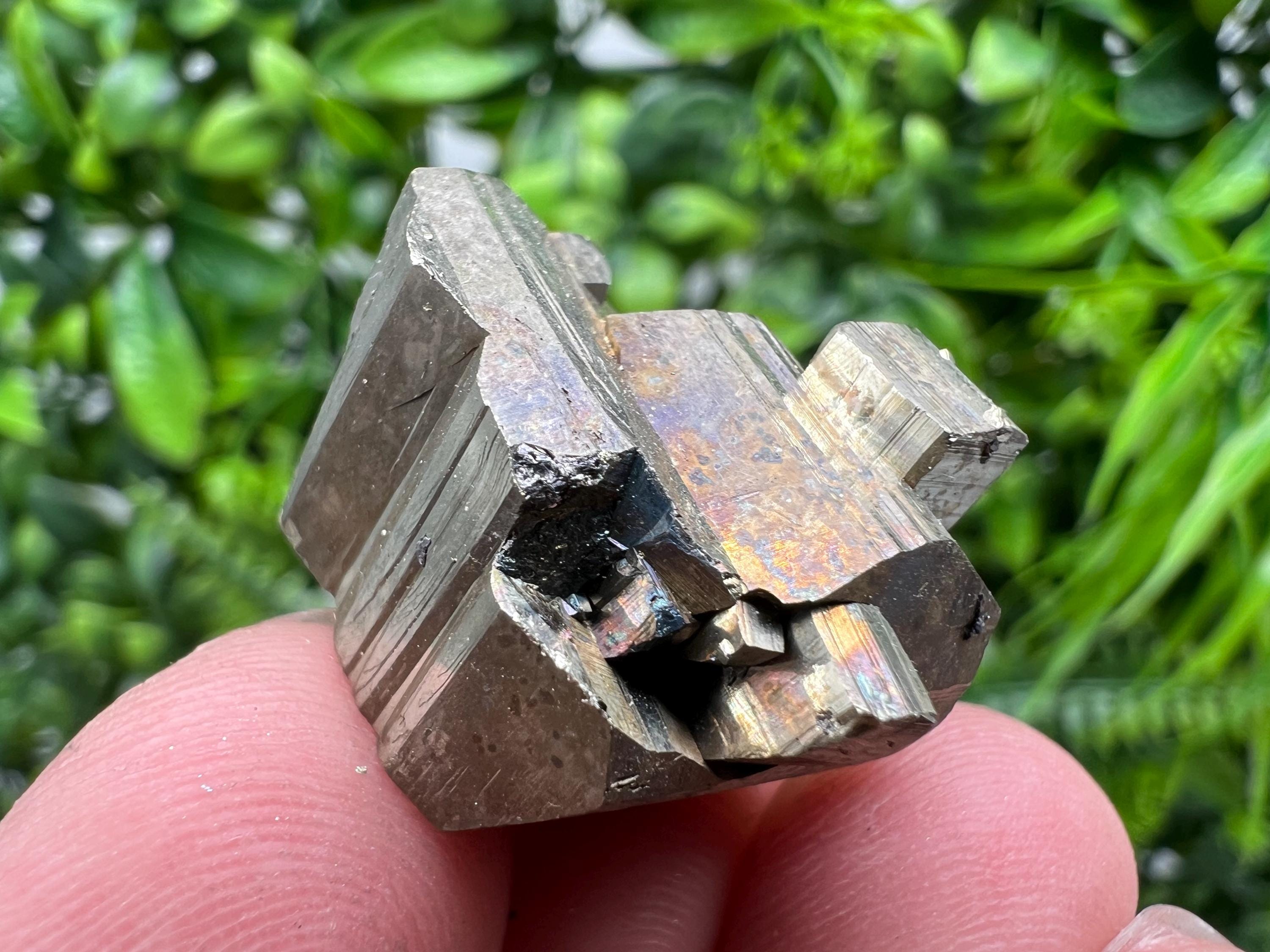 Mini Rainbow Pyrite Cluster: Borieva Mine, Bulgaria