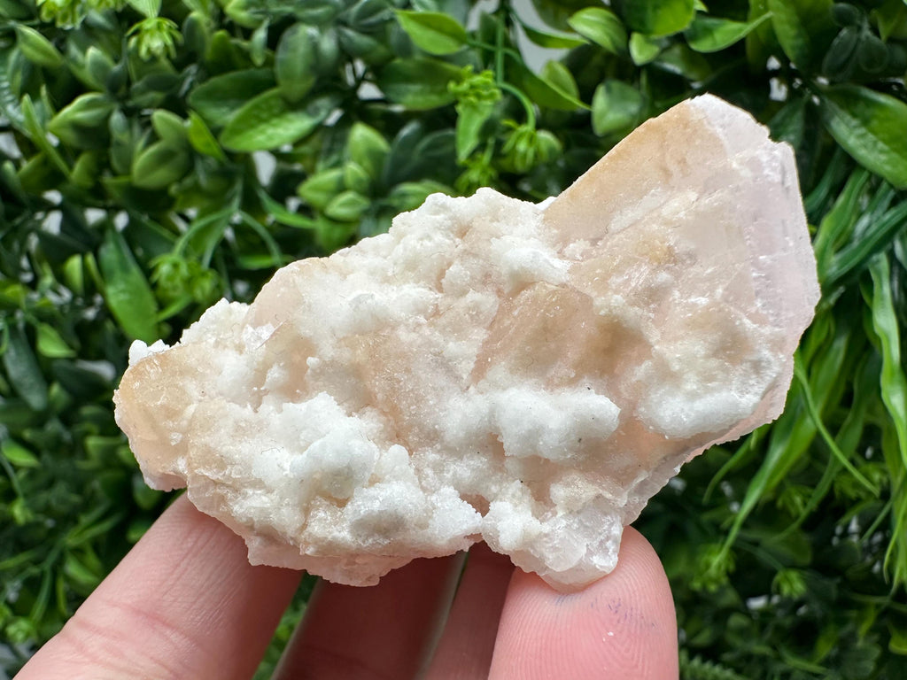 Mangano Calcite with Galena, Borieva Mine, Bulgaria